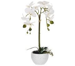Beliani Planta artificial ORCHID