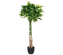 Beliani Planta artificial PACHIRA TREE