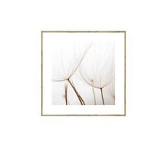 Quadro DIENTE DE LEÓN 35x35cm marca MARCOMUEBLE