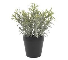 Planta artificial sortida HUGO 20cm marca CONFORAMA