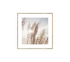 Quadro HOJAS DE TRIGO 35x35cm marca MARCOMUEBLE