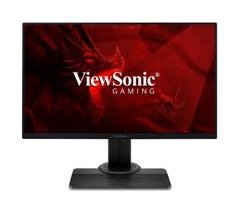 Monitor XG2431