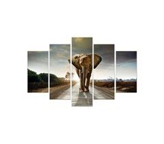 Tela 5 peças ELEPHANT KING marca CONFORAMA