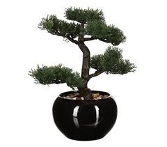 WELL HOME - Bonsai artificial em vaso de cerâmica
