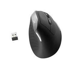 Rato Ergonómico Ótico ew3229