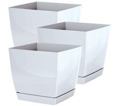 3x begonya panela redonda fresca com prato incluído