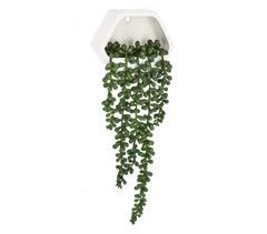WELL HOME - Planta contemporânea para pendurar na parede