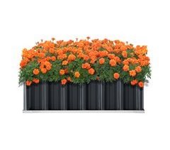 Huerta urbana alta Zevenaar aço