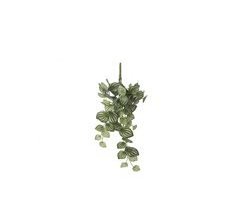 Planta artificial suspensa PEPEROMIA marca MYCA
