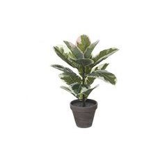 Planta artificial STAN marca MYCA