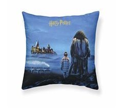 Capa de travesseiro Philosopher's Stone