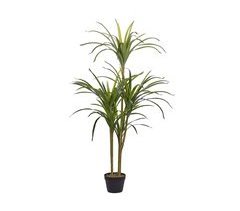 Beliani Planta artificial DRACAENA ANITA