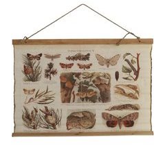 Borboletas decorativas em tecido de lona