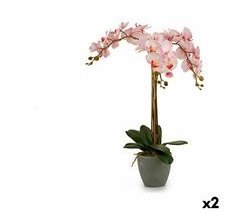 Planta Decorativa A18124-71-3