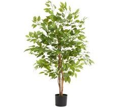árvore de ficus artificial