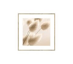 Quadro PLANTA 35x35cm marca MARCOMUEBLE