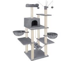 Árvore de gato