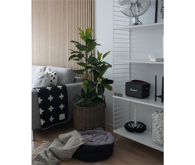 Beliani Planta artificial FICUS ELASTICA Verde