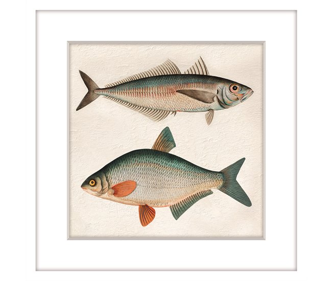 Pintura PECES 42x42cm marca MARCOMUEBLE  Multicor