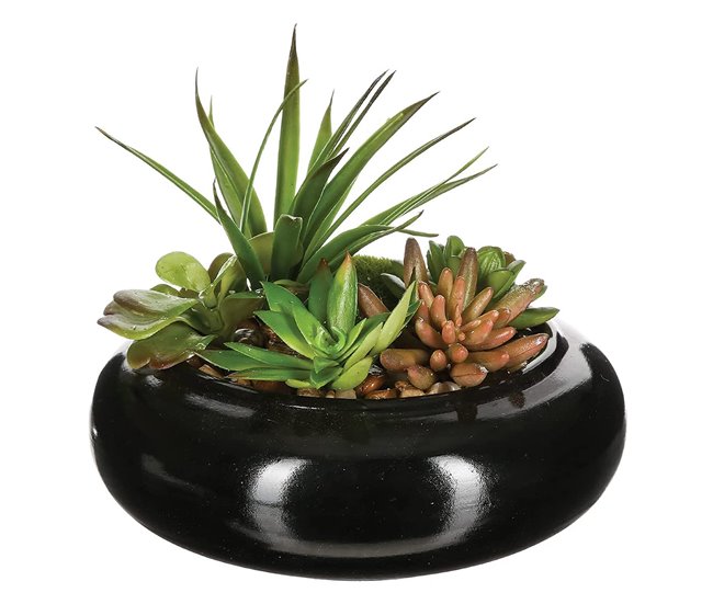 WELL HOME - Composição central com sortimento de plantas Verde