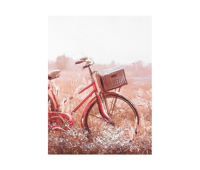 Pintura original BICYCLE 2,5x60x80cm Multicor