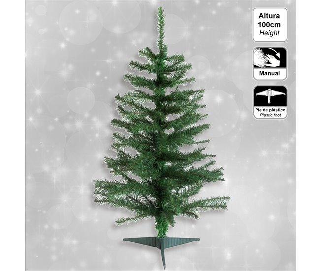 Abeto elegante Verde