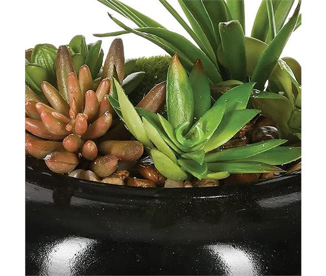 WELL HOME - Composição central com sortimento de plantas Verde
