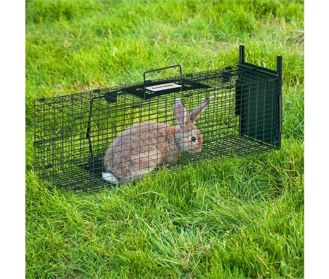 Armadilha para Animais Vivos Aço Outsunny Verde