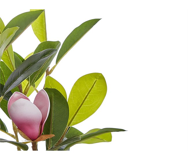 Beliani Planta artificial MAGNOLIA Verde