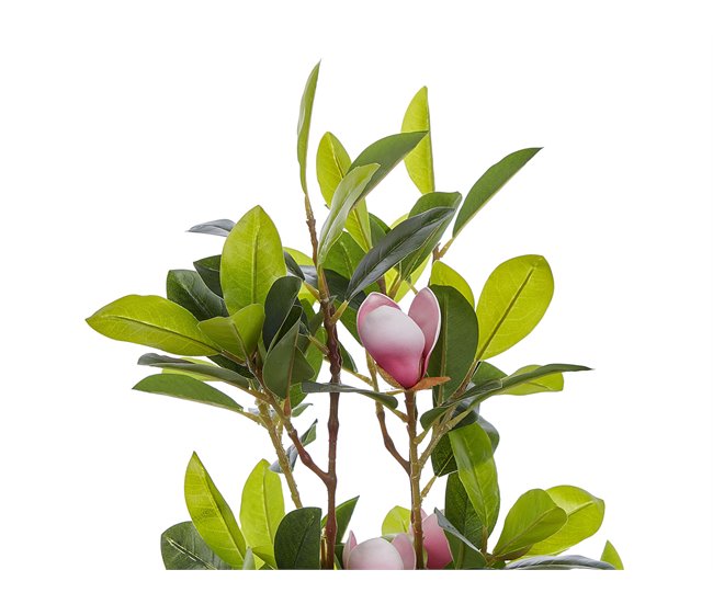 Beliani Planta artificial MAGNOLIA Verde