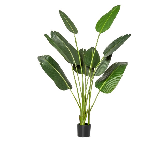 Planta Artificial Bananeira PE e Tecido HOMCOM Verde