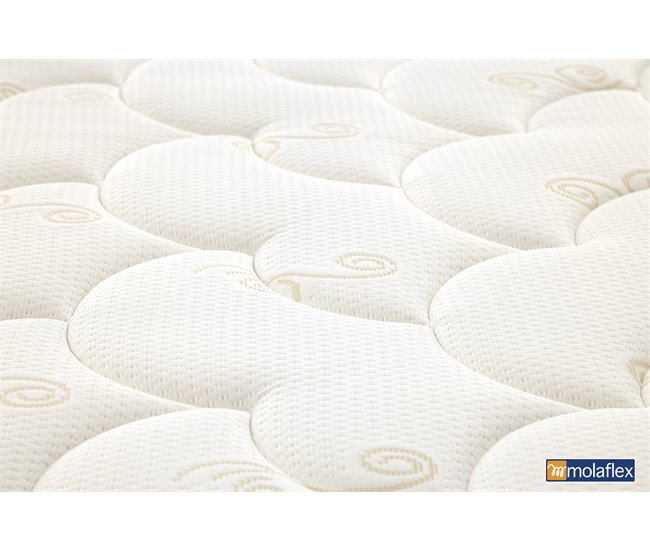 Pack MULTI SENSE PRO cor nogueira MOLAFLEX 