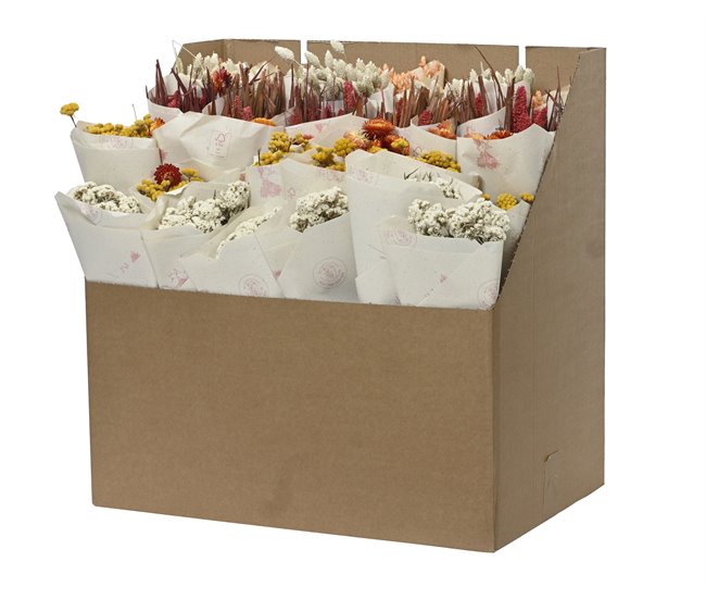 Flores secas AMARANTA sortidos 14cm marca EVERLANDS  Multicor