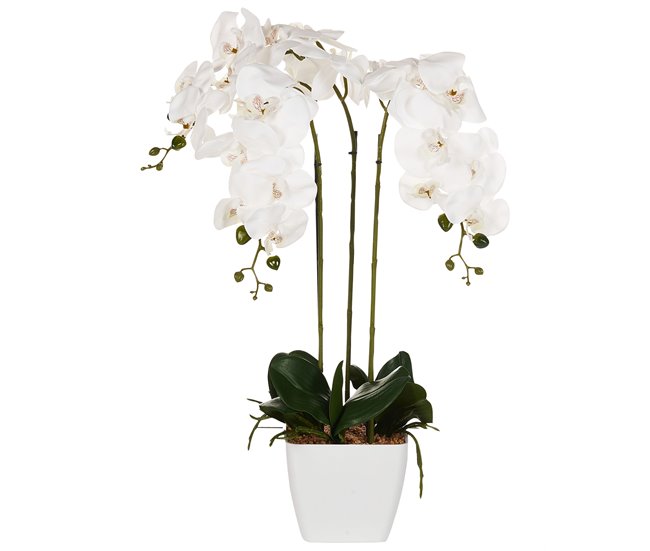 Beliani Planta artificial ONCIDIUM ORCHID GR1531651
