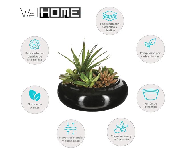 WELL HOME - Composição central com sortimento de plantas Verde