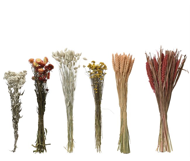 Flores secas AMARANTA sortidos 14cm marca EVERLANDS  Multicor