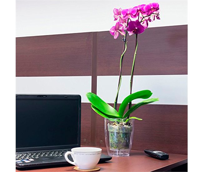 3x Maceter de orquídea plástica Transparente