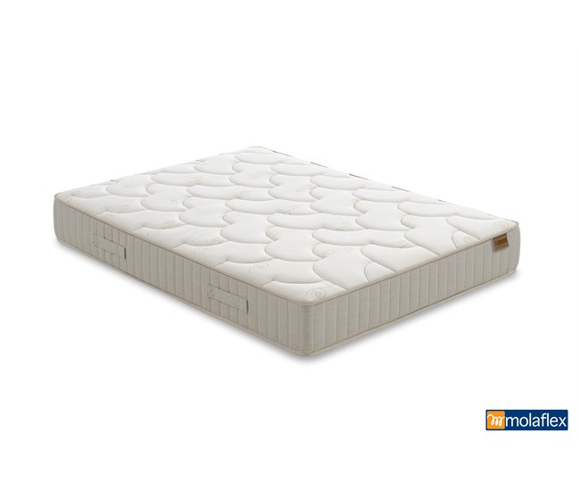 Pack MULTI SENSE PRO cor nogueira MOLAFLEX 
