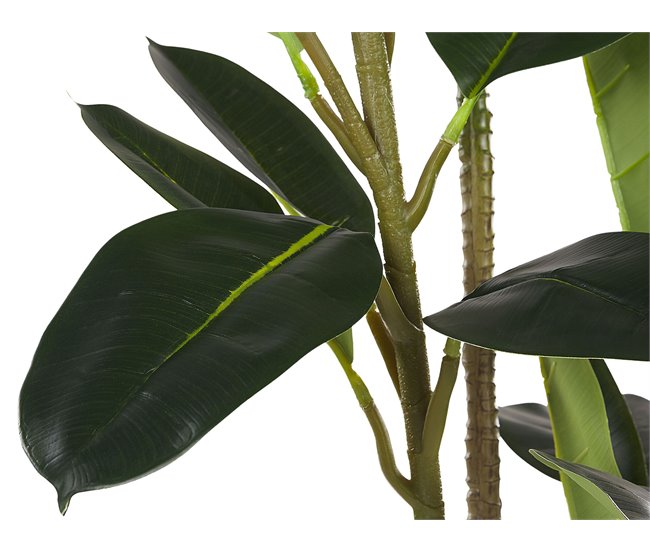 Beliani Planta artificial FICUS ELASTICA Verde