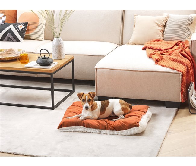 Beliani Cama para animais de estimação ERGANI Laranja