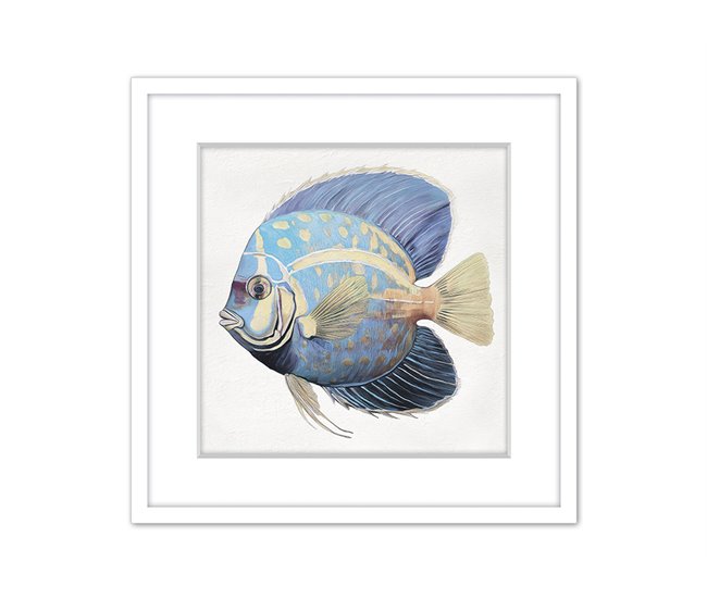 Pintura PEZ TROPICAL 42x42cm marca MARCOMUEBLE  Branco/ Azul