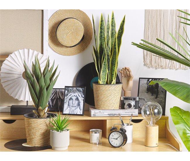 Beliani Planta artificial YUCCA Verde
