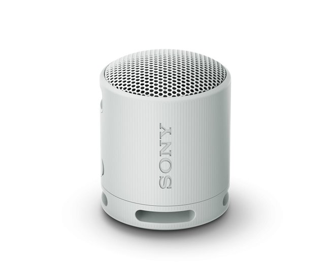 Altifalante Bluetooth Portátil SRS-XB100 Cinza