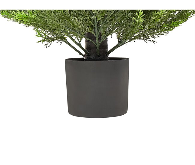 Beliani Planta artificial CEDAR TREE Verde