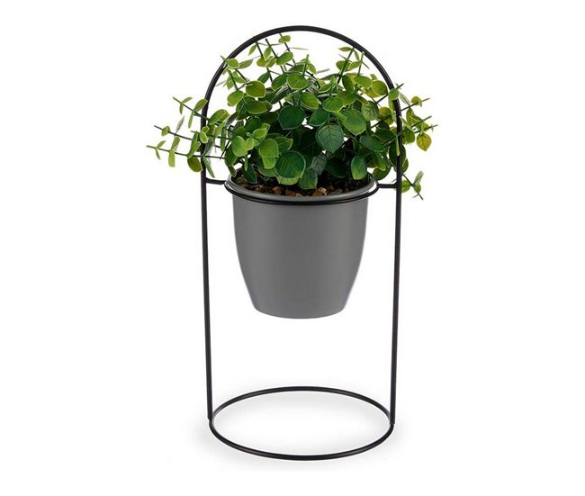 Planta Decorativa Verde