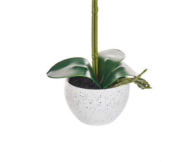 Beliani Planta artificial ORCHID GR1531651