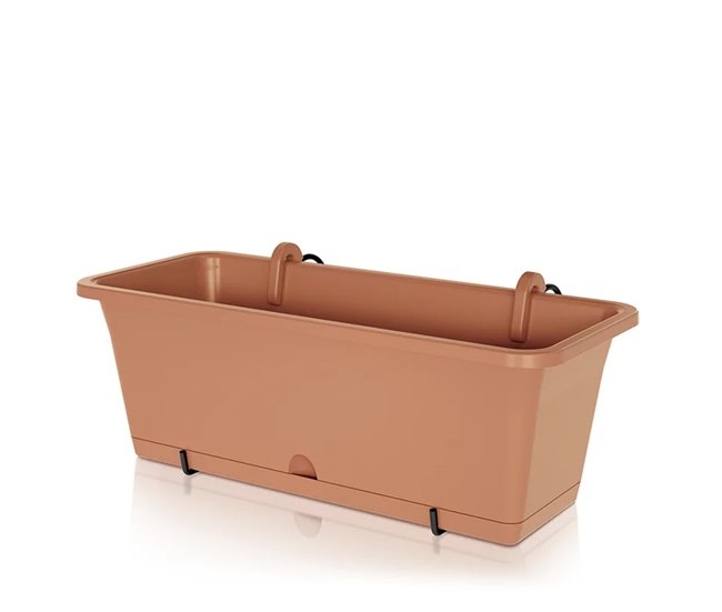 Camely w Terracota