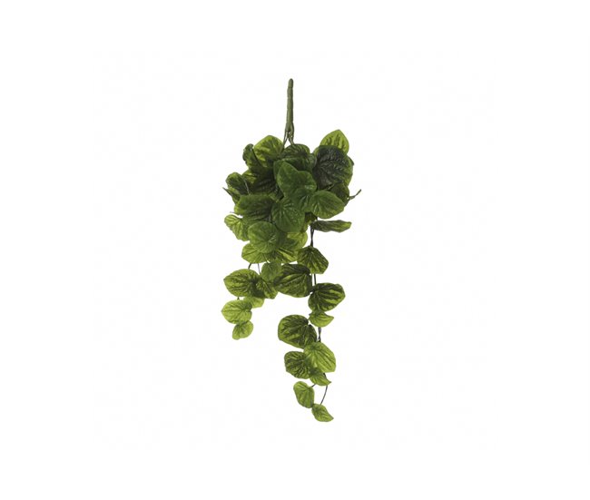 Planta artificial suspensa PEPEROMIA marca MYCA Verde