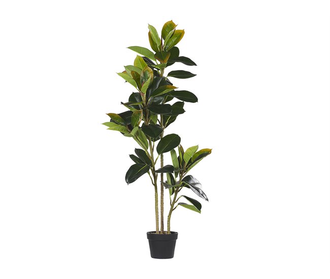 Beliani Planta artificial FICUS ELASTICA Verde