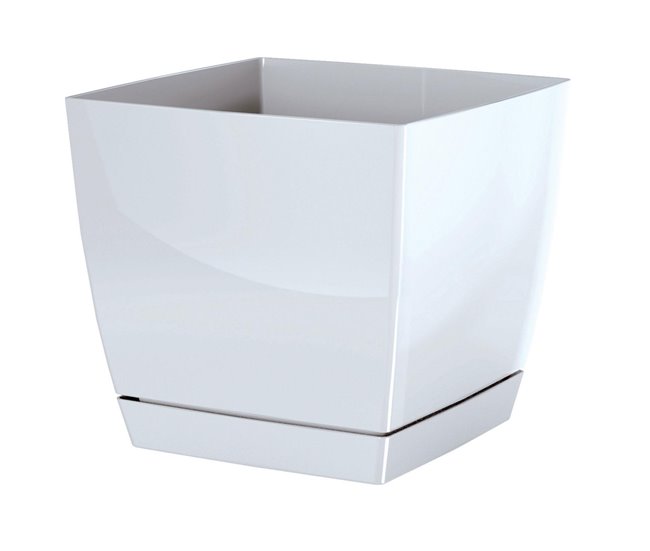 2x begonya panela redonda fresca com prato incluído Branco